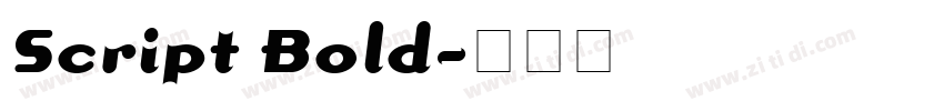 Script Bold字体转换